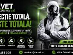 Larvet - Deratizare & Dezinsectie Non Stop